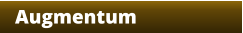 Augmentum