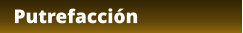 Putrefacción
