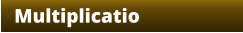 Multiplicatio